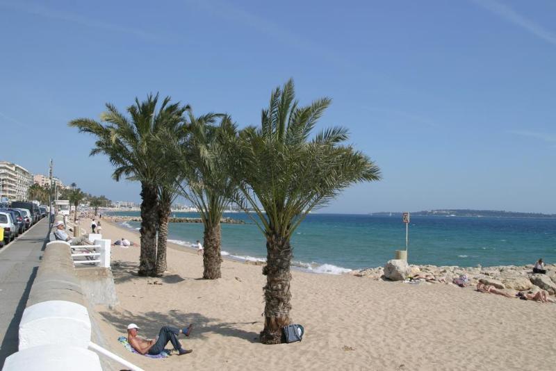 Le Vieux Port Apartments Cannes Extérieur photo